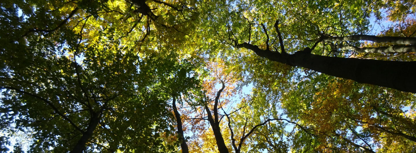 Naturdialoge